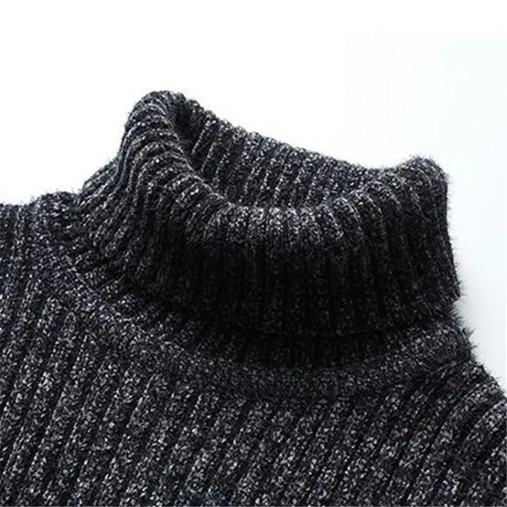 Fenwick Turtleneck Sweater