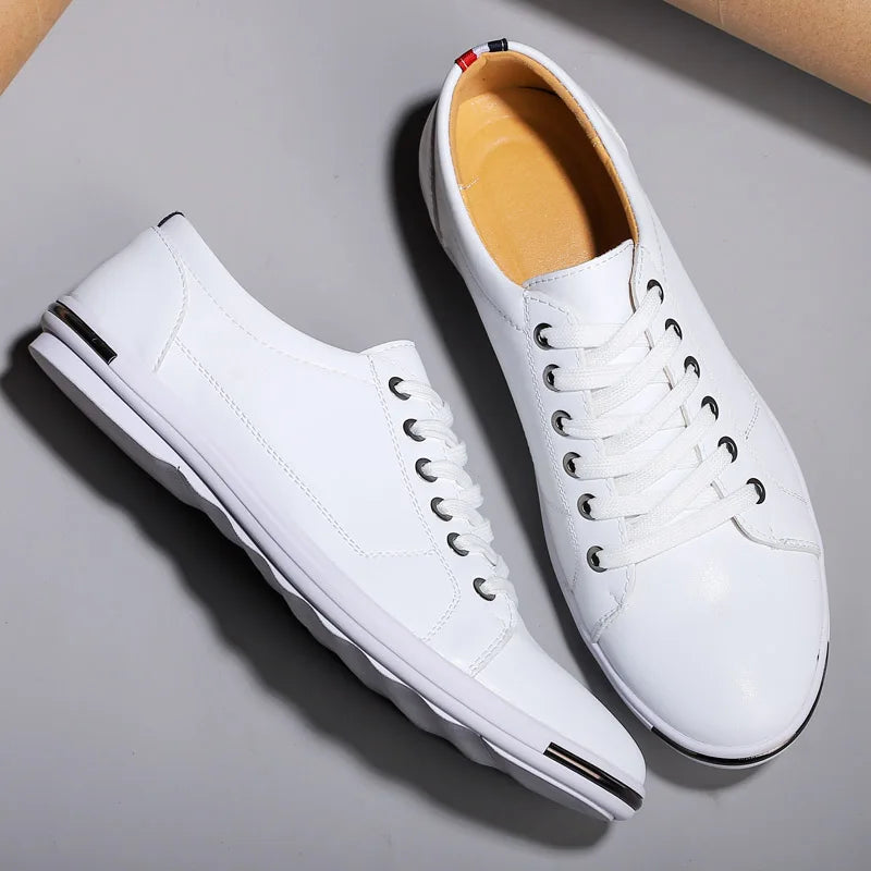 Benedict - Premier Low Top Shoe