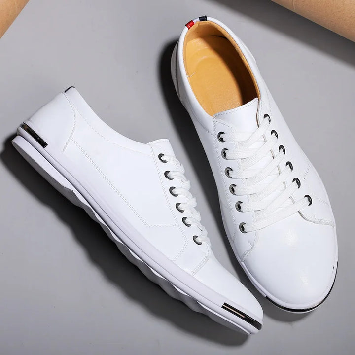 Benedict - Premier Low Top Shoe